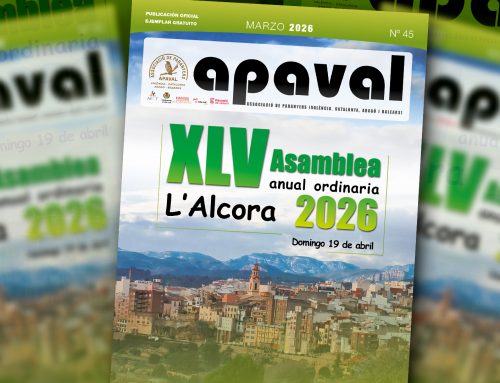 Revista APAVAL nº 45