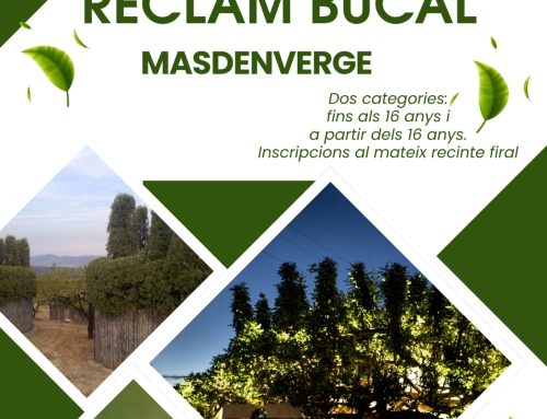 II Concurs de reclam bucal – Masdenverge 2026